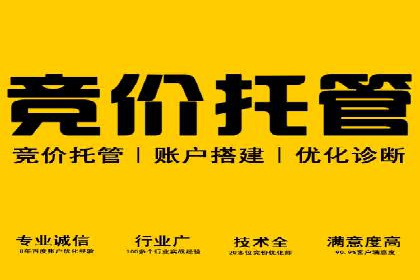 SEM优化师如何提升广告点击率——以某电商平台的成功案例为例
